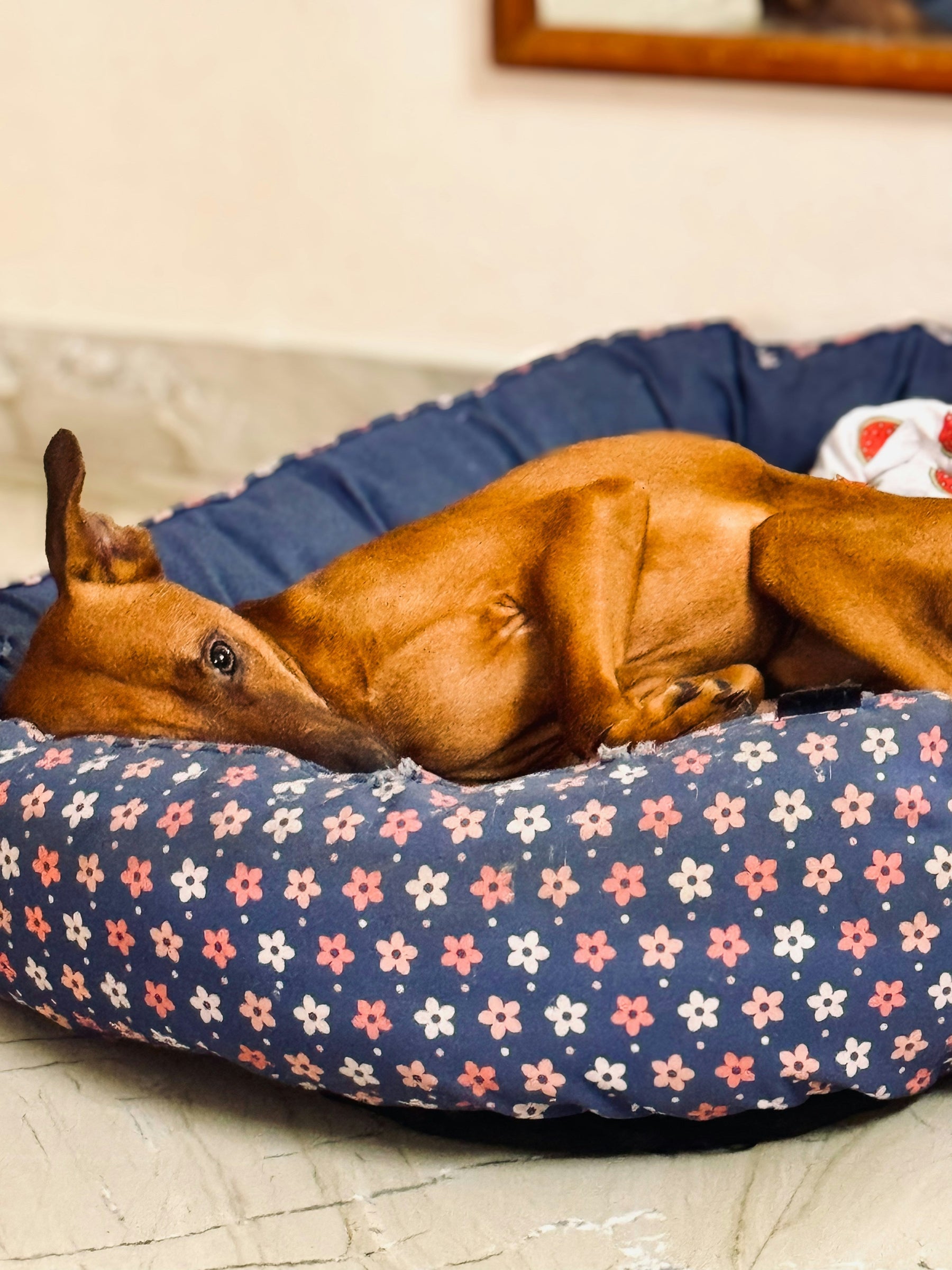 Responsible Pet Parenting Isn't About Getting Everything Right, It's About Noticing Early