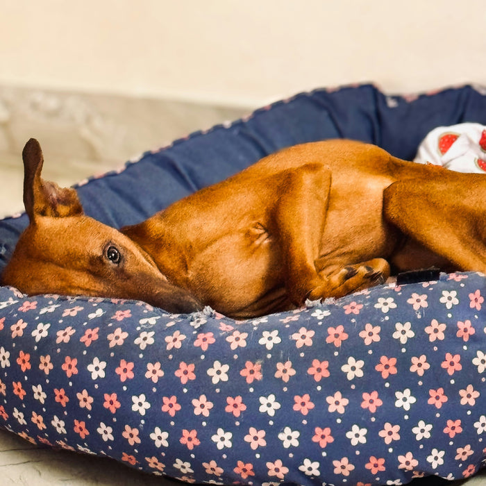 Responsible Pet Parenting Isn't About Getting Everything Right, It's About Noticing Early
