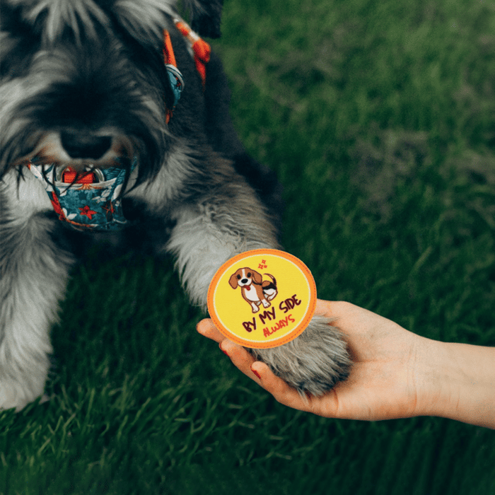 This Rakhi, the Bond Worth Recognising Might Already Be Sitting Next to You