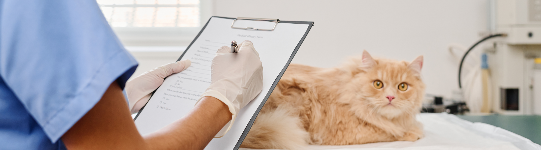 Stay on Top of Your Pet’s Health: Record-Keeping Made Easy