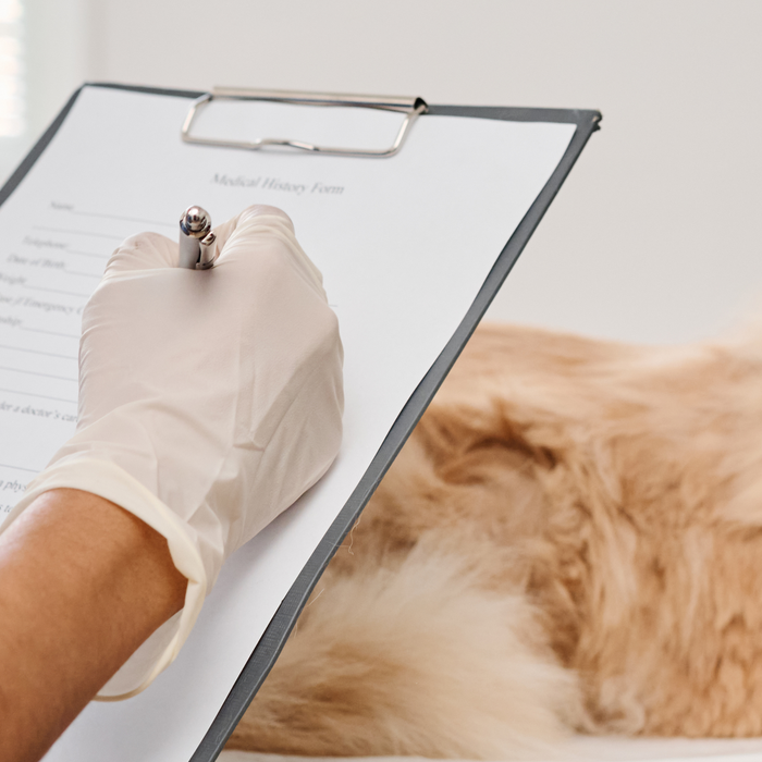 Stay on Top of Your Pet’s Health: Record-Keeping Made Easy