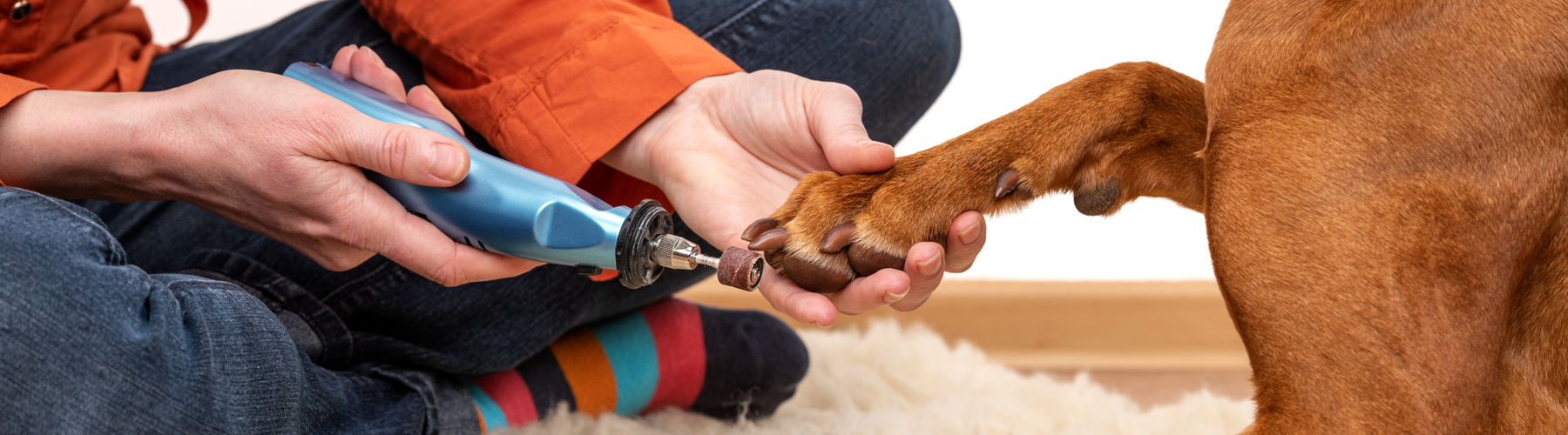 Nail Trimming Without the Struggle: How to Help Pets Stay Calm