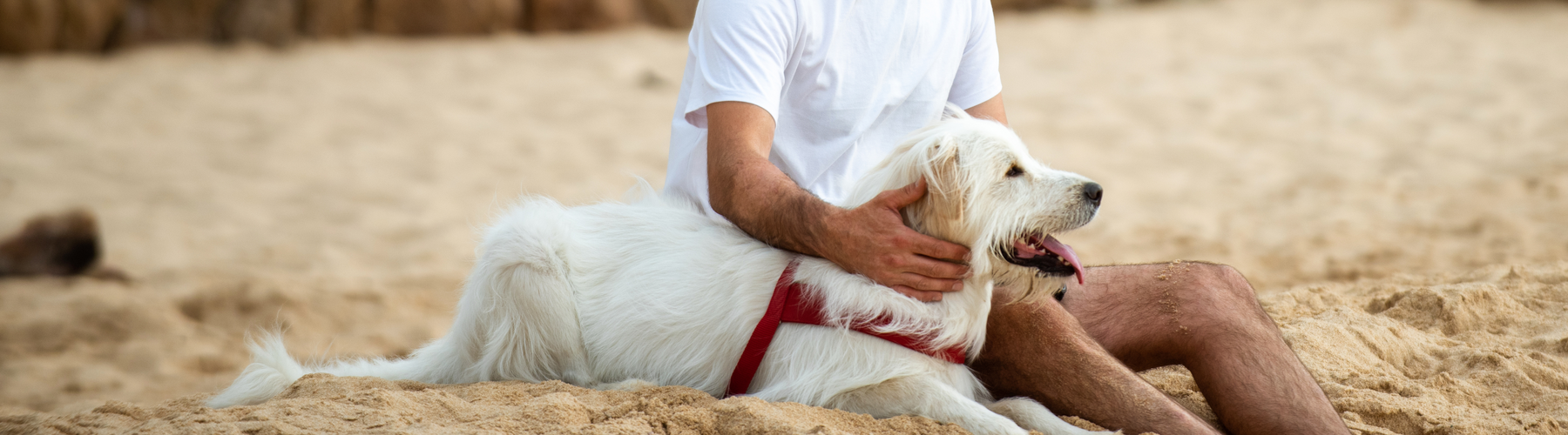The Best Advice for Pet Parenting Usually Comes from People Who’ve Been Through the Hardest Parts
