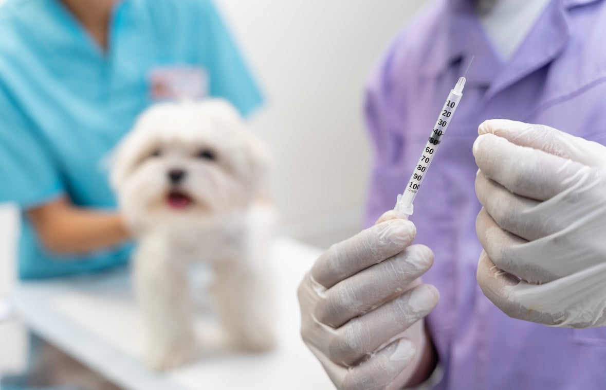 Understanding Vaccination Schedules Without Panic