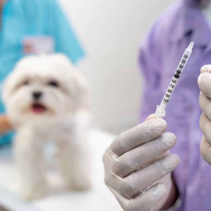 Understanding Vaccination Schedules Without Panic