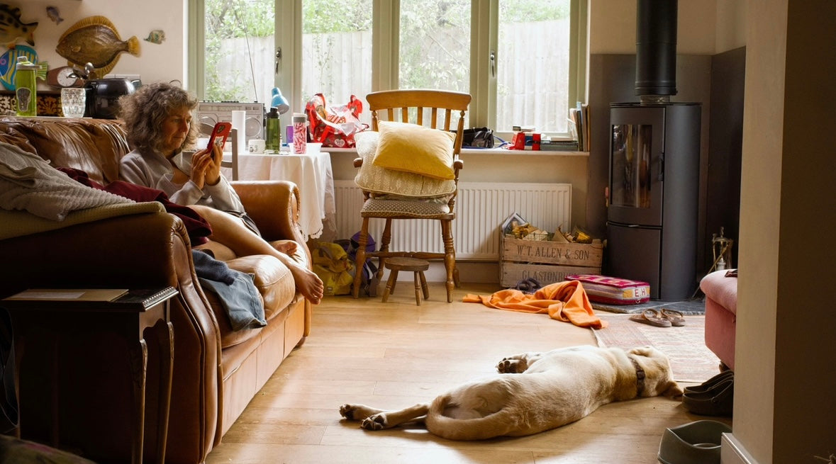 Raising Pets in Small Apartments: Everything You Need To Know