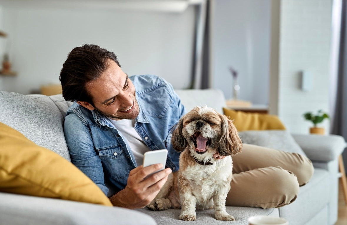 How Social Media Is Changing Pet Care Expectations