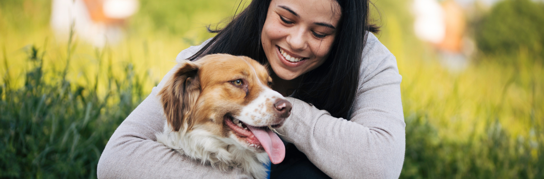 Understanding Your Pet's Body Language for Better Communication
