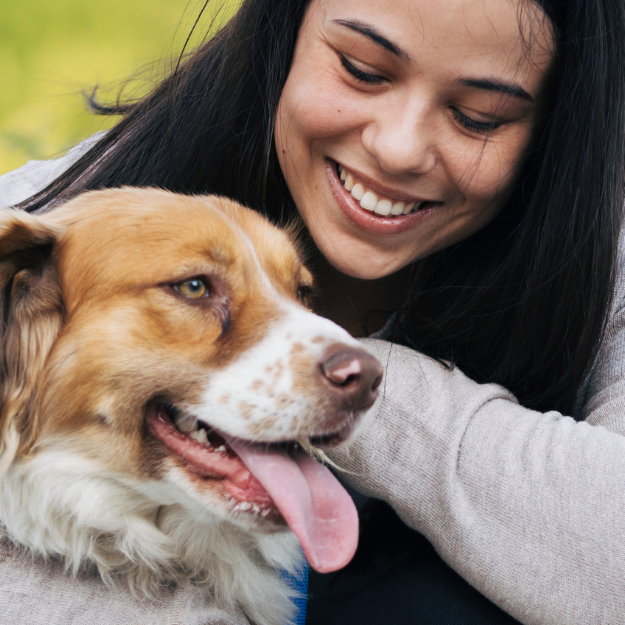 Understanding Your Pet's Body Language for Better Communication