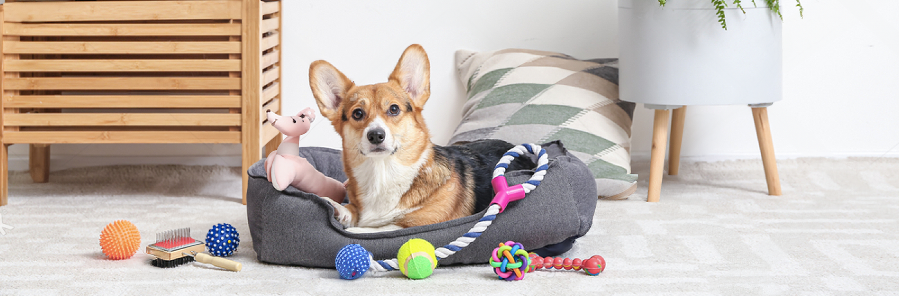 The Joy of Play: Top Interactive Toys for Your Pet