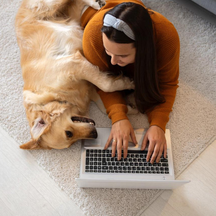 Pet Psychology 101: Why They Sit on Our Stuff