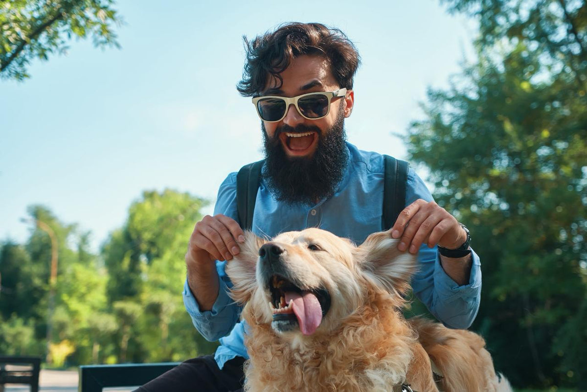 My Dog Is My Mirror: Emotional Transference in Human–Pet Bonds