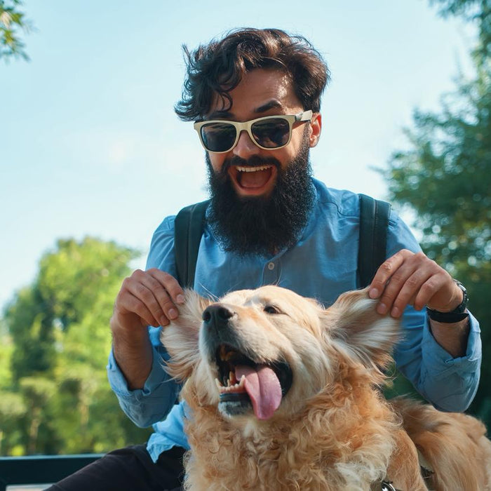 My Dog Is My Mirror: Emotional Transference in Human–Pet Bonds