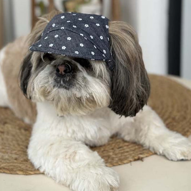 Summer Safety Essentials: Why Your Pet Needs a Cool Cap