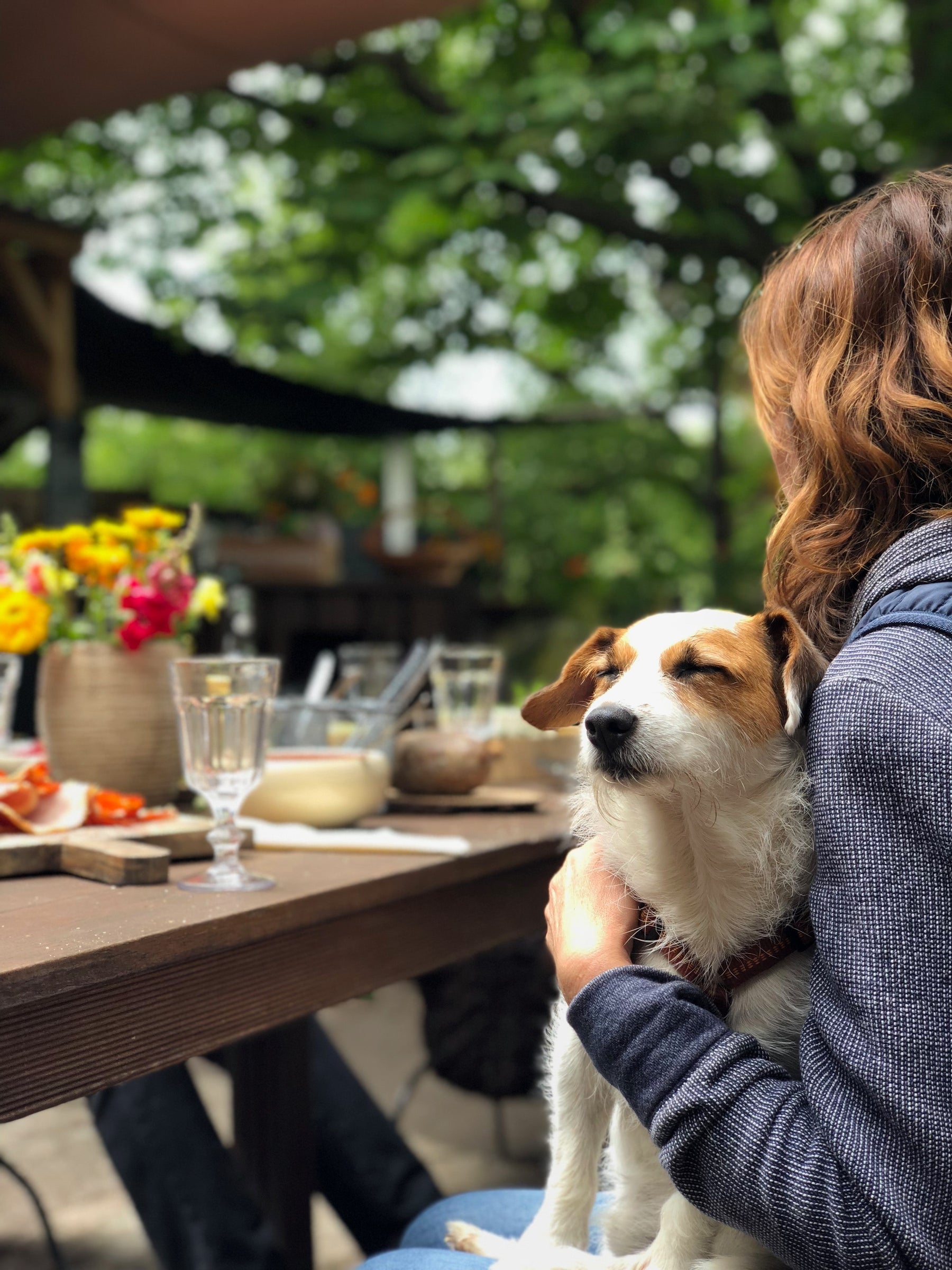 7 Pet-Friendly Cafes in Delhi NCR to Spend Quality Time with Your Pets