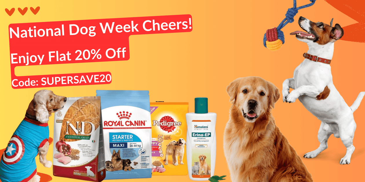 National Dog Week Sale