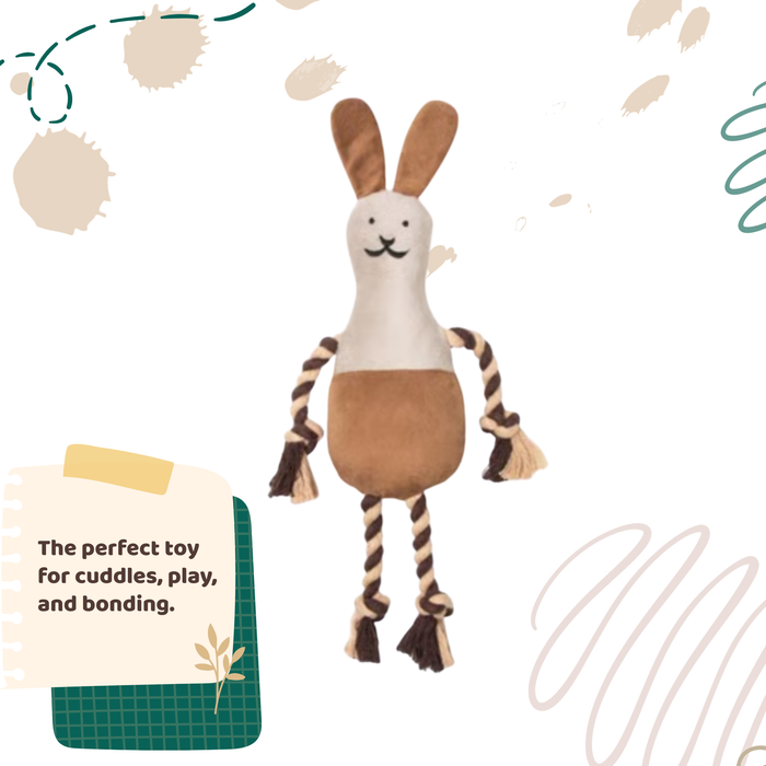 BearHugs Tug & Cuddle Rope Plush Toy for Dogs