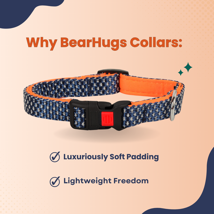 BearHugs Padded with Lock Essential Classic Collar