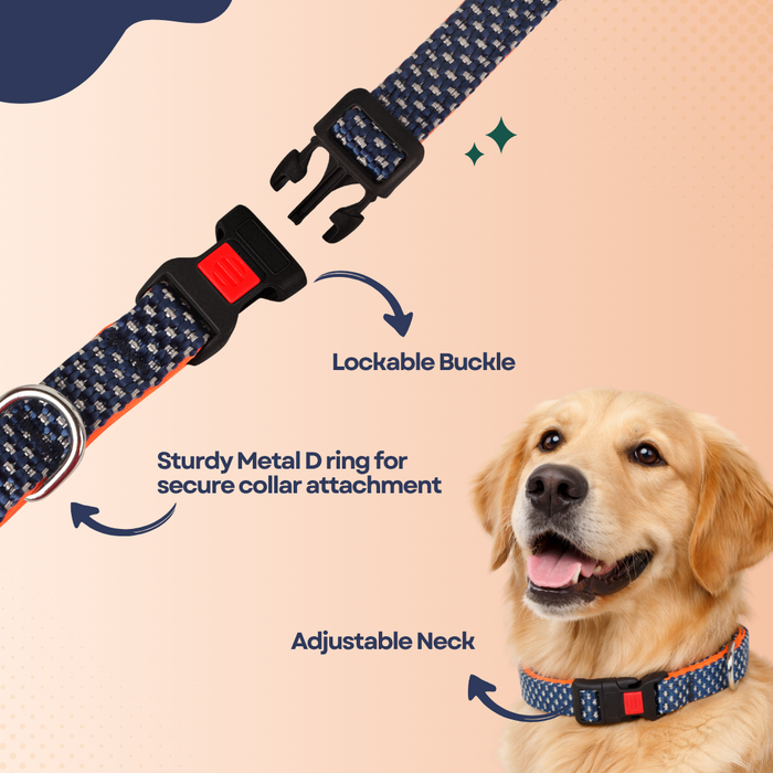 BearHugs Padded with Lock Essential Classic Collar