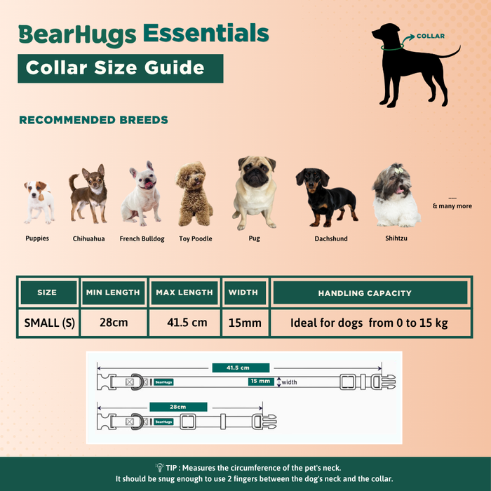 BearHugs Padded with Lock Essential Classic Collar