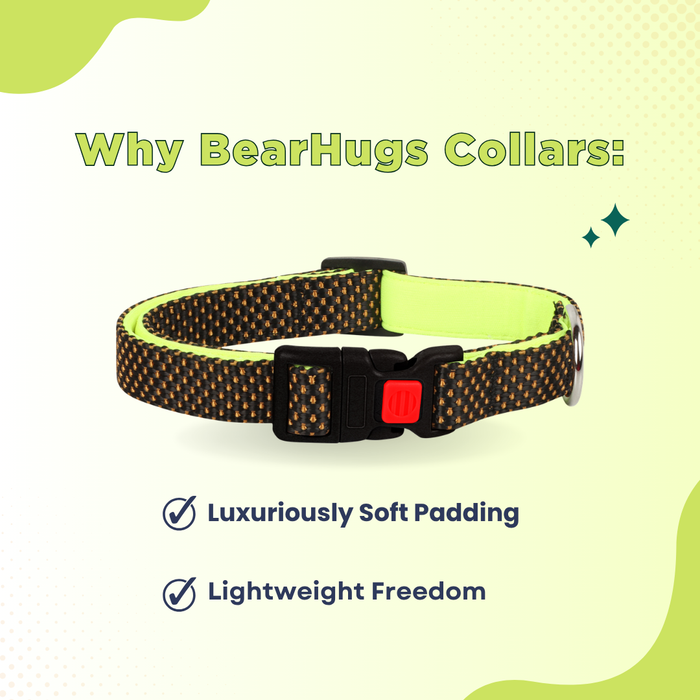 BearHugs Padded with Lock Essential Classic Collar