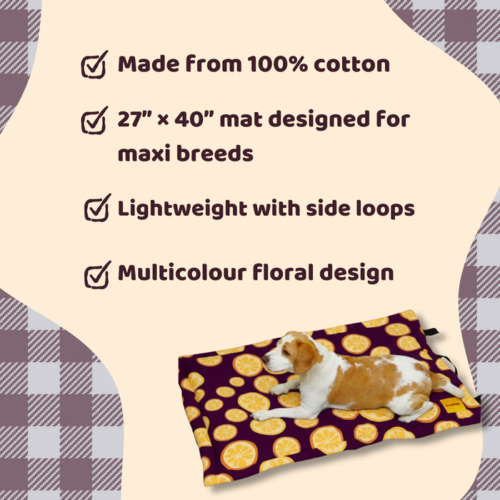 BearHugs Anti Skid Pet Mattress (Multicolour)