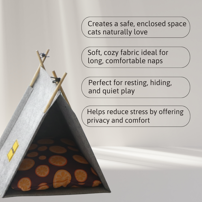 BearHugs Cat Tent