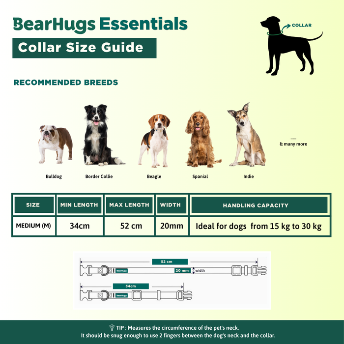 BearHugs Padded with Lock Essential Classic Collar