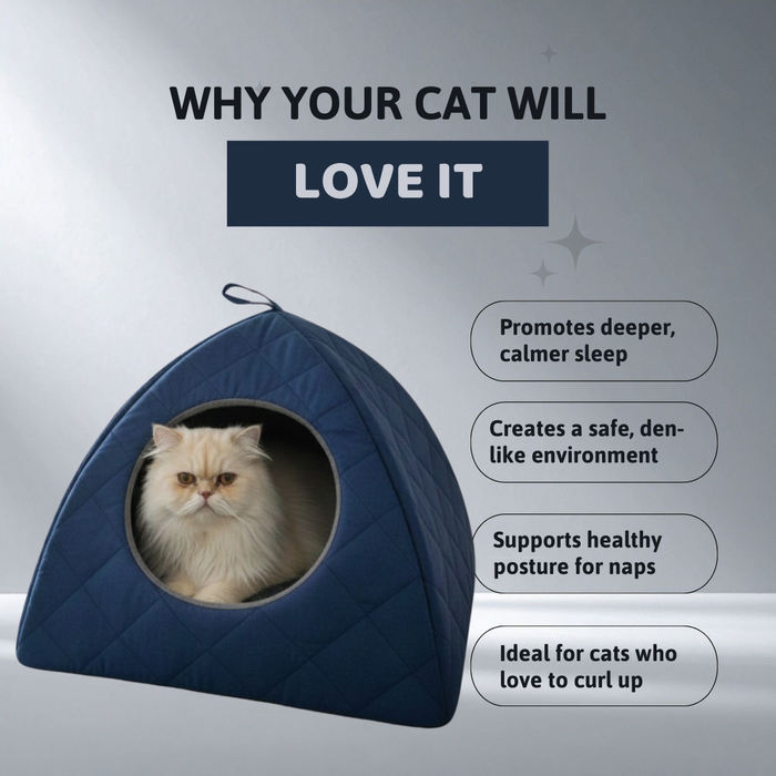 BearHugs Snuggle Igloo Cat Bed