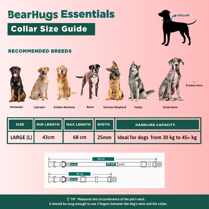 BearHugs Padded with Lock Essential Classic Collar