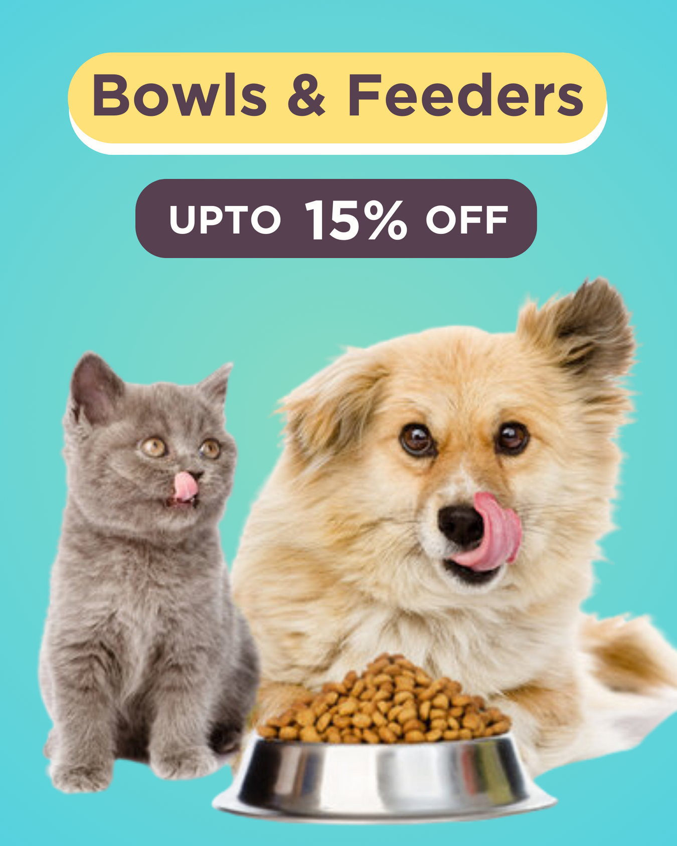 Dogs Bowls and Feeder
