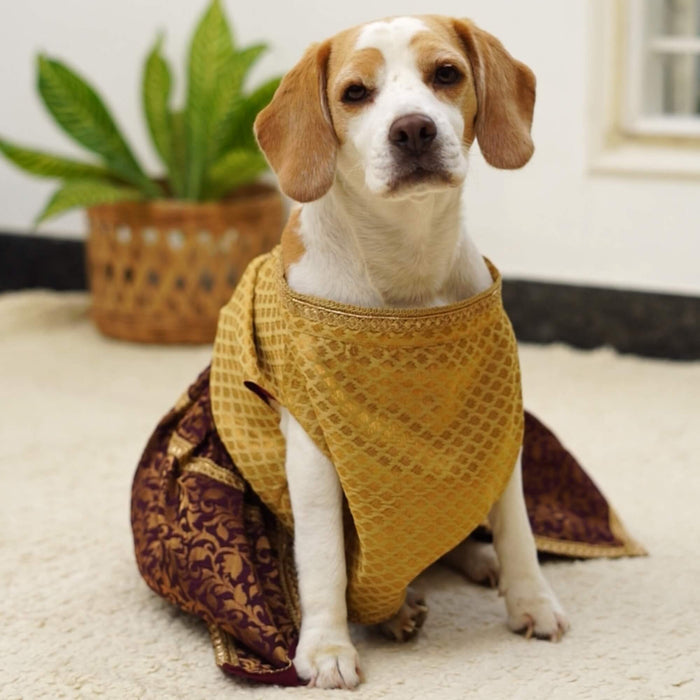 Bearhugs Golden & Maroon Lehenga For Dog