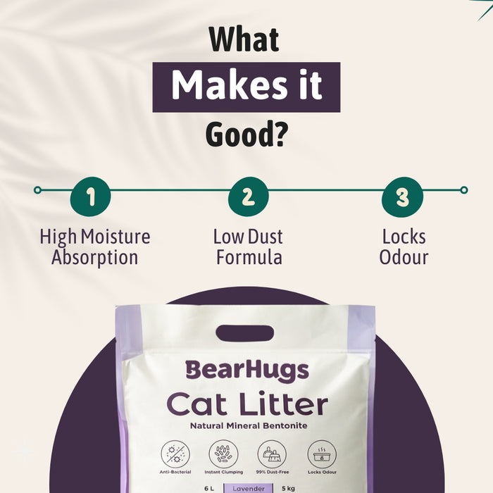 BearHugs Bentonite Clumping Cat Litter - Lavender Scented 5 KG (6L) (Pack of 1)