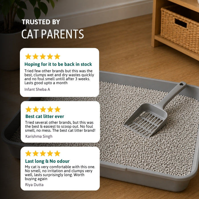 BearHugs Bentonite Clumping Cat Litter - Unscented 5 KG (6L) (Pack of 1)