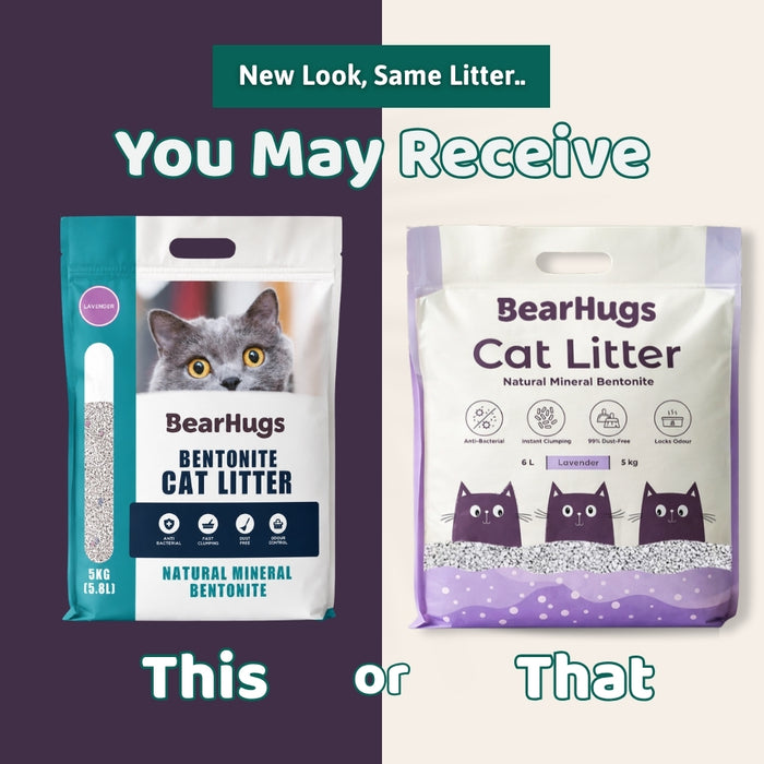 BearHugs Bentonite Clumping Cat Litter - Lavender Scented 5 KG (6L) (Pack of 1)