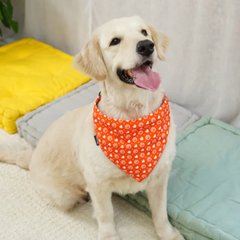 BearHugs Valentine's Themed Bandana for Dogs