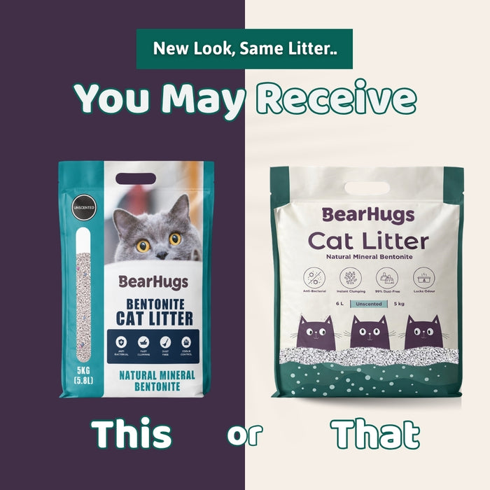 BearHugs Bentonite Clumping Cat Litter - Unscented 5 KG (6L) (Pack of 1)