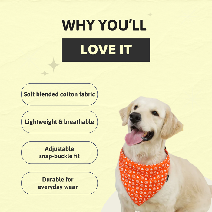 BearHugs Valentine's Themed Bandana for Dogs
