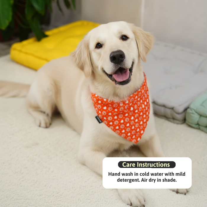 BearHugs Valentine's Themed Bandana for Dogs