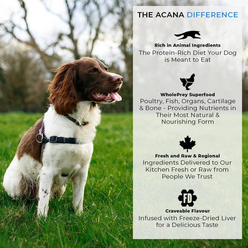 Acana Heritage Puppy Large and Giant Breed Dry Food