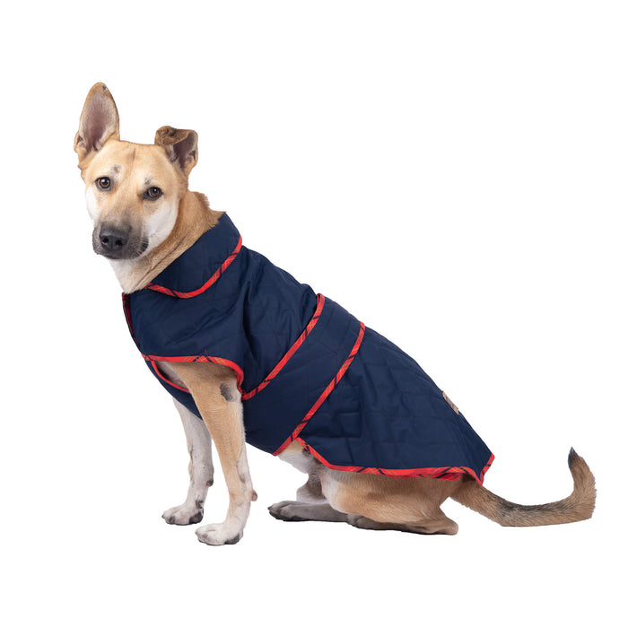 Mutt of Course Quilted Blue Winter Jackets For Dog