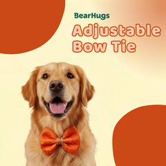 BearHugs Adjustable Festive Orange Bow Tie for Pets