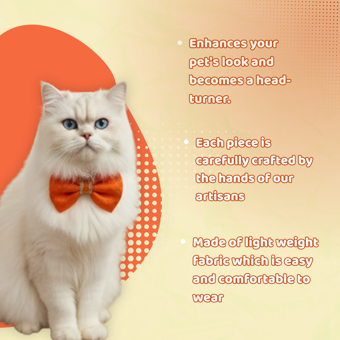 BearHugs Adjustable Festive Orange Bow Tie for Pets