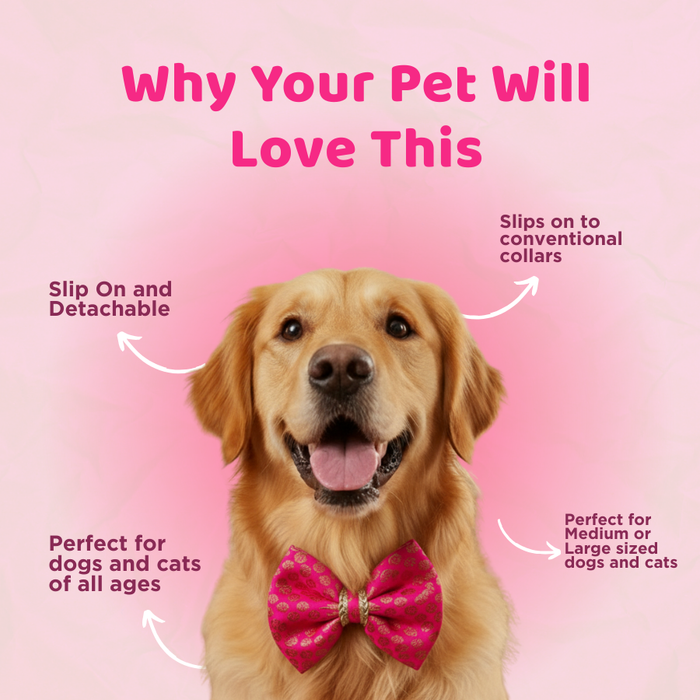 BearHugs Adjustable Festive Pink Bow Tie for Pets