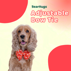 BearHugs Valentine's Themed Bow Tie for Dogs