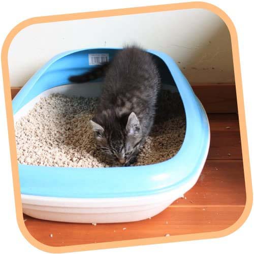 Beco Litter Tray