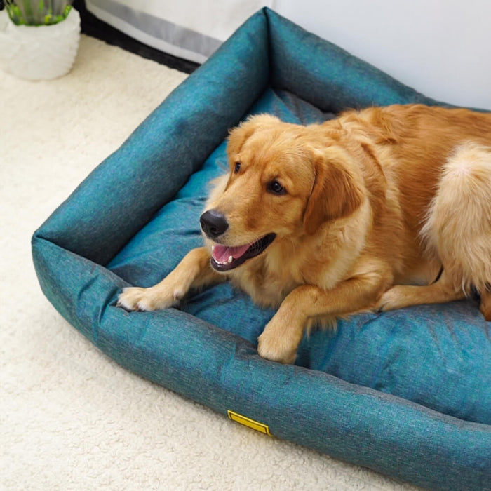 BearHugs Lounger Bed for Dog