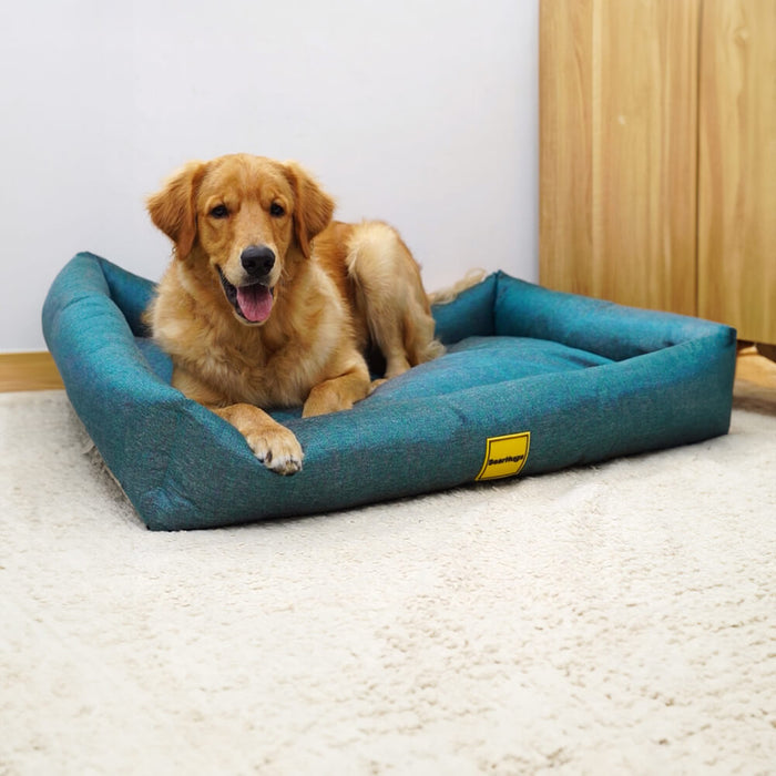 BearHugs Lounger Bed for Dog