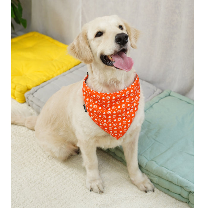 BearHugs Valentine's Themed Bandana for Dogs