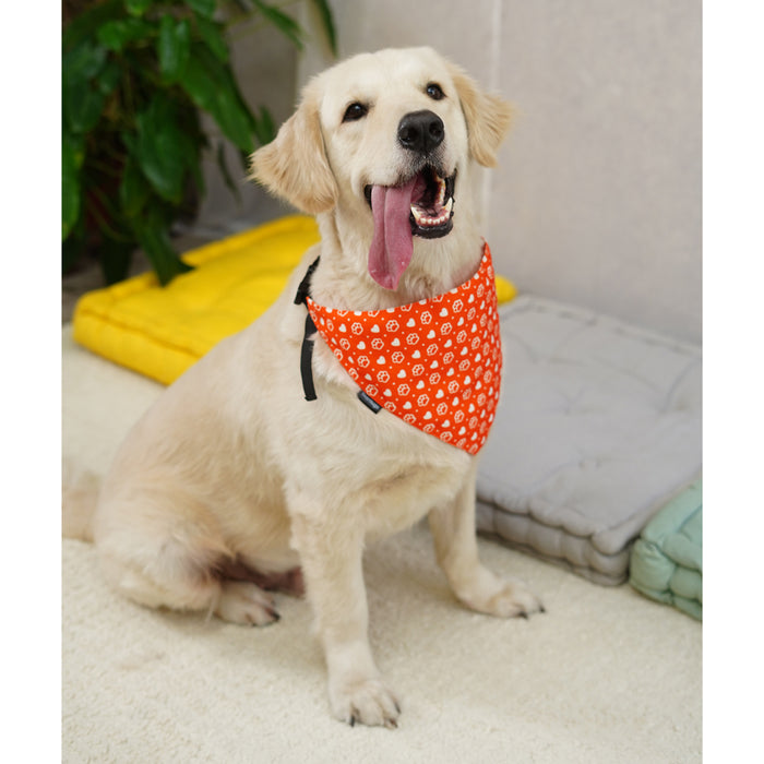 BearHugs Valentine's Themed Bandana for Dogs